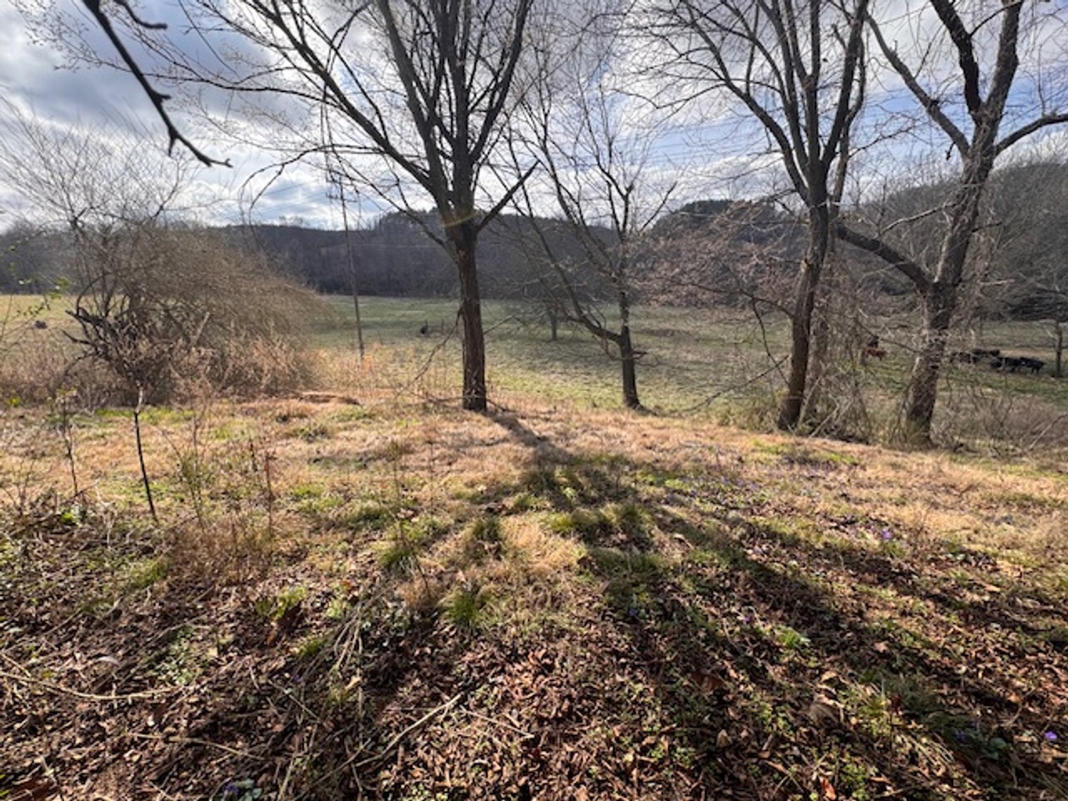 Image for Farm View Lot - 1.2 acre property on Hwy 100 - Ayers Estate