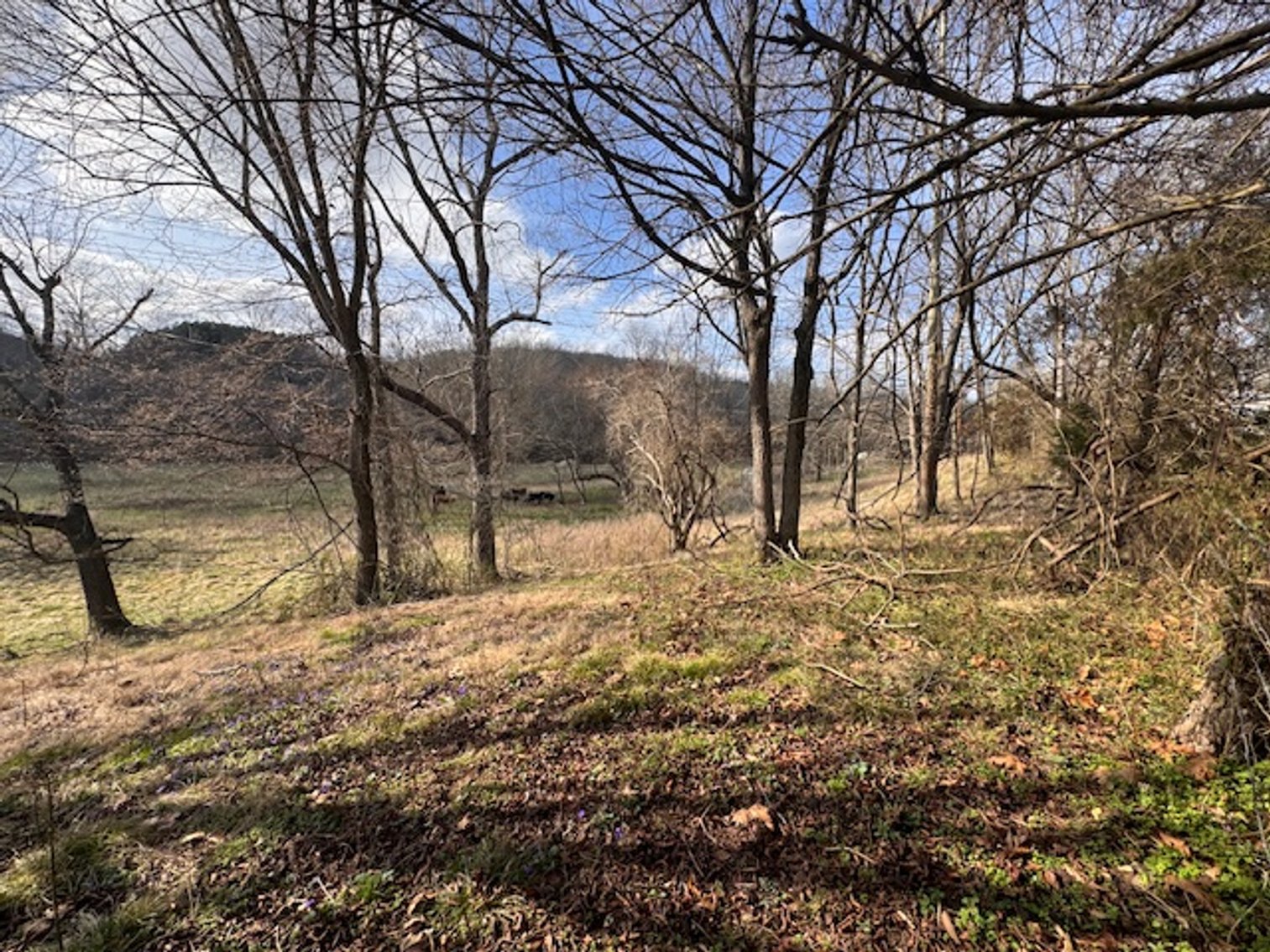 Image for Farm View Lot - 1.2 acre property on Hwy 100 - Ayers Estate