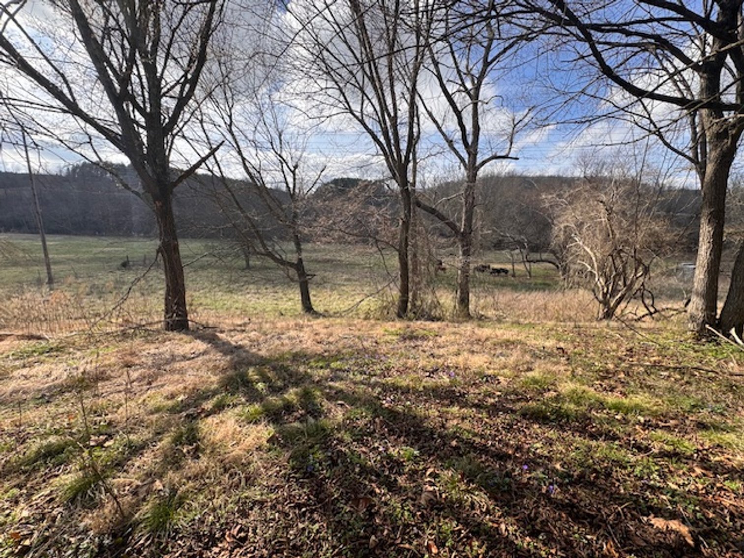 Image for Farm View Lot - 1.2 acre property on Hwy 100 - Ayers Estate