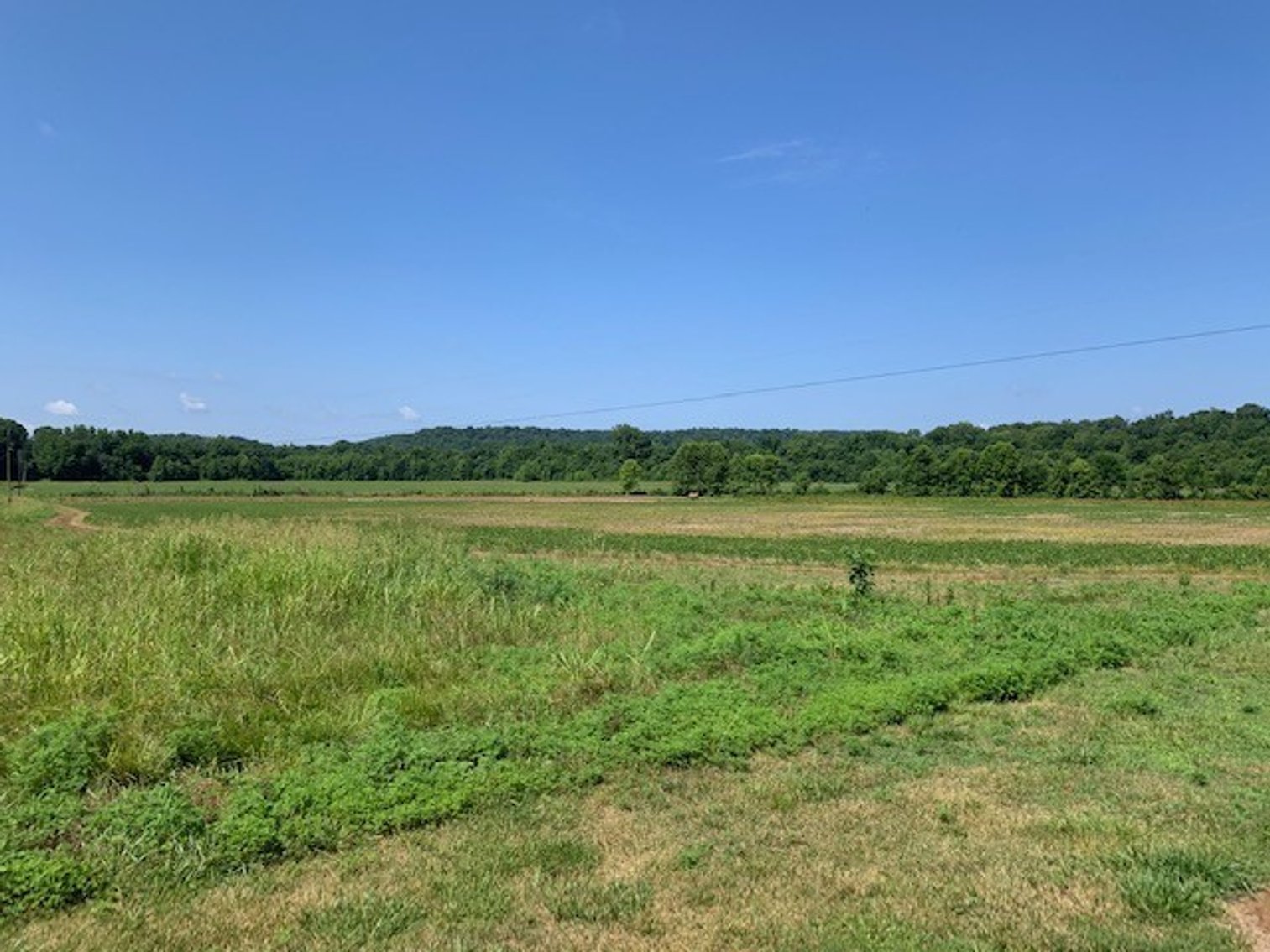 Image for SOLD!!  Nickells Valley Road - Centerville - House and 1.5 Acres