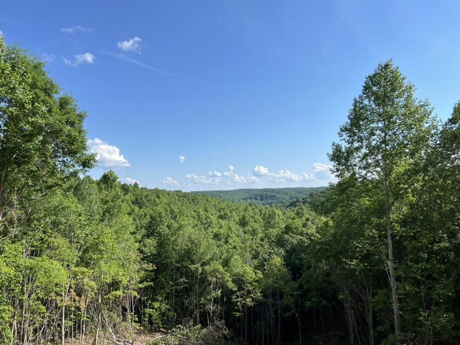 Image for 19.9 Acre Tract Permitted for 4 BR House