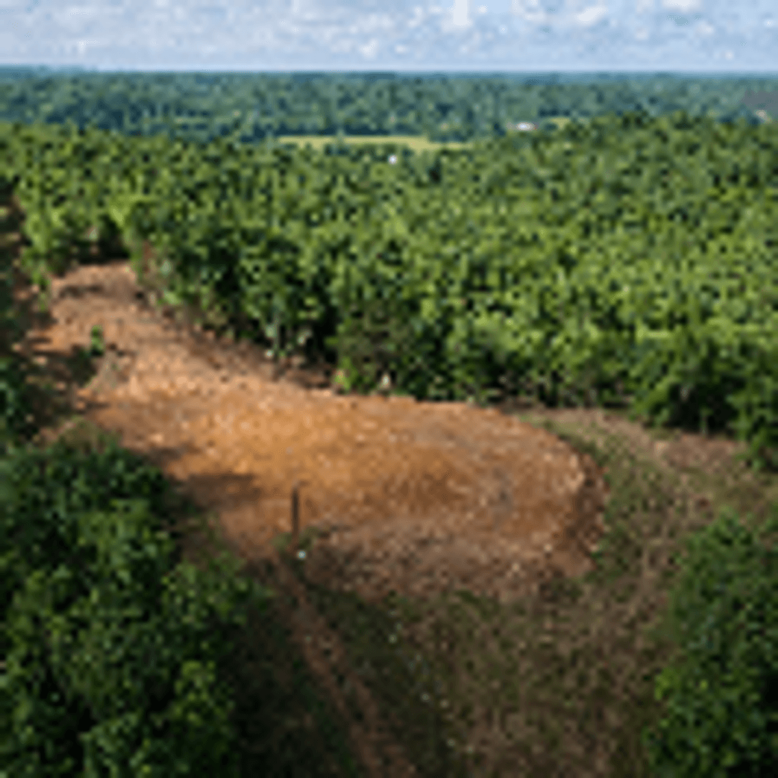 Image for 19.9 Acre Tract Permitted for 4 BR House