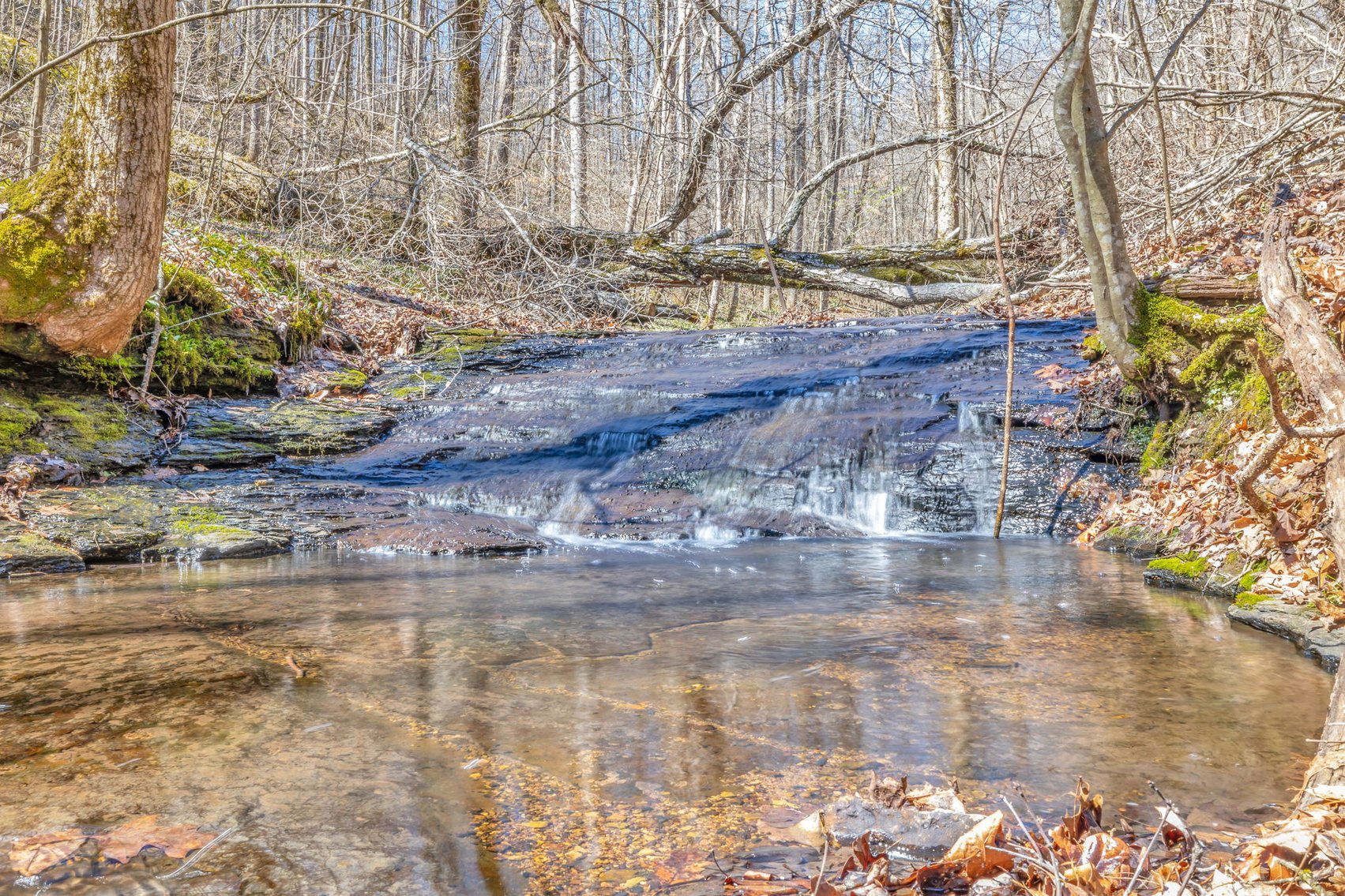 Image for 77 Acre Farm in Williamson County