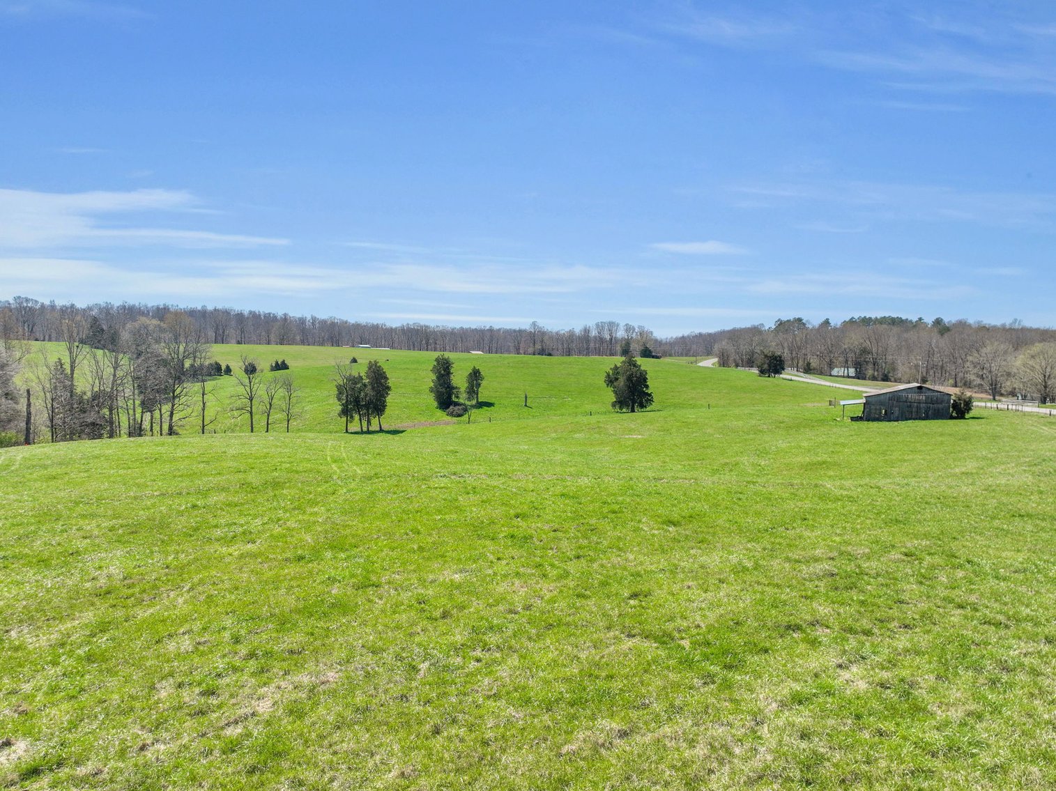 Image for 77 Acre Farm in Williamson County