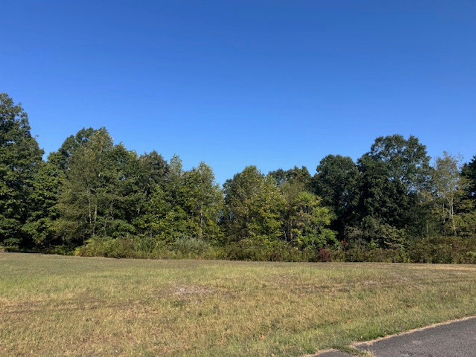 Image for Fox Haven Estates - Vacant Lot on Gray Fox Lane