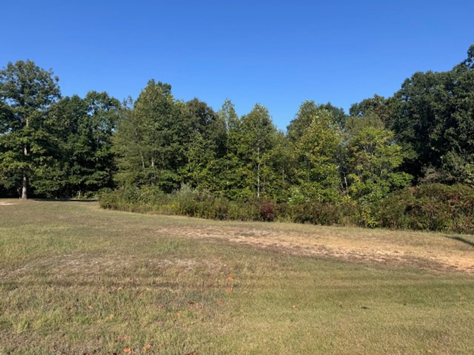 Image for Fox Haven Estates - Vacant Lot on Gray Fox Lane