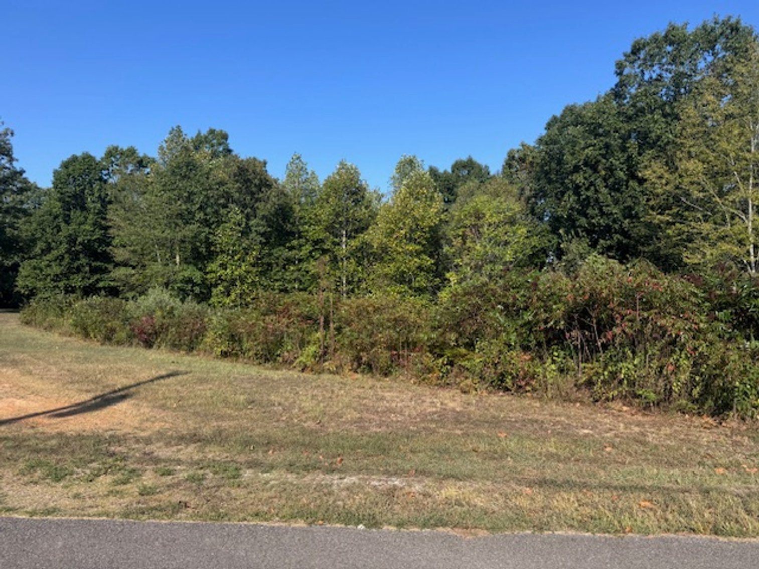 Image for Fox Haven Estates - Vacant Lot on Gray Fox Lane