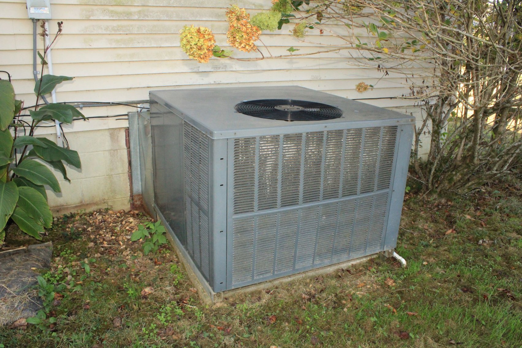 Image for Duck River 