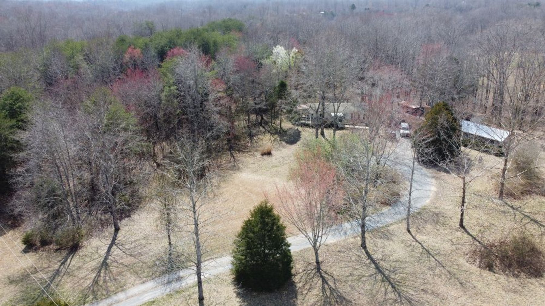 Image for 5.4 Acres off Hwy 7 - House & Shop on Buck Litton Road