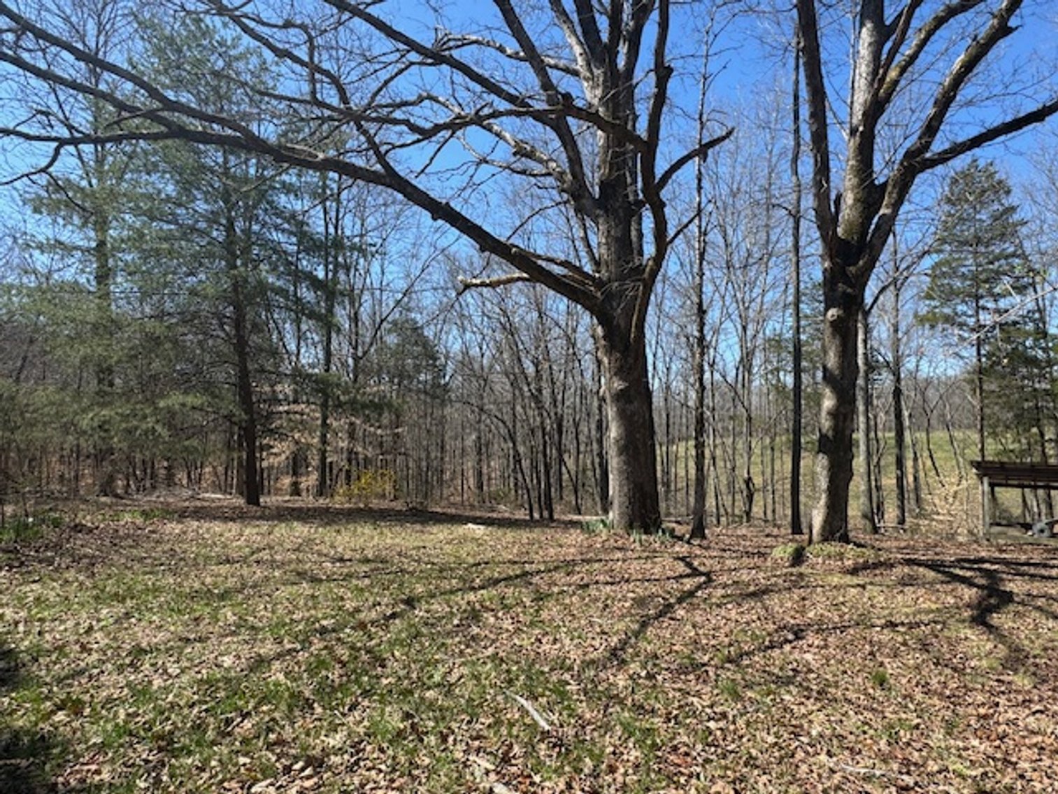 Image for 5.4 Acres off Hwy 7 - House & Shop on Buck Litton Road