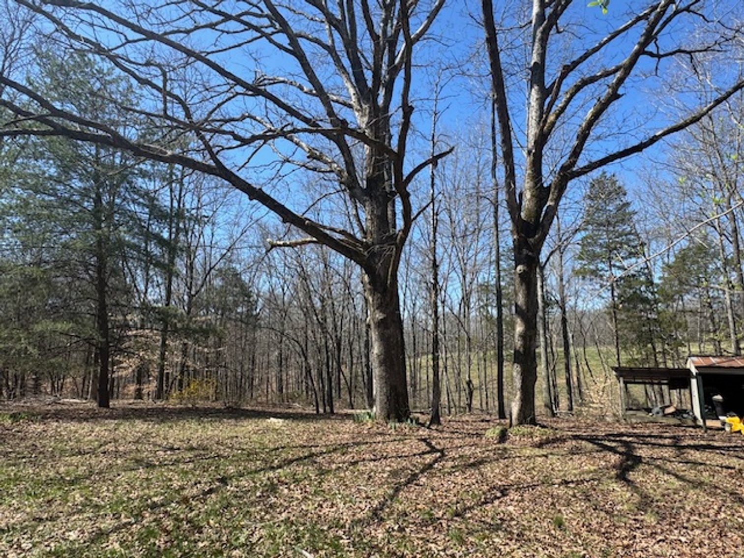 Image for 5.4 Acres off Hwy 7 - House & Shop on Buck Litton Road