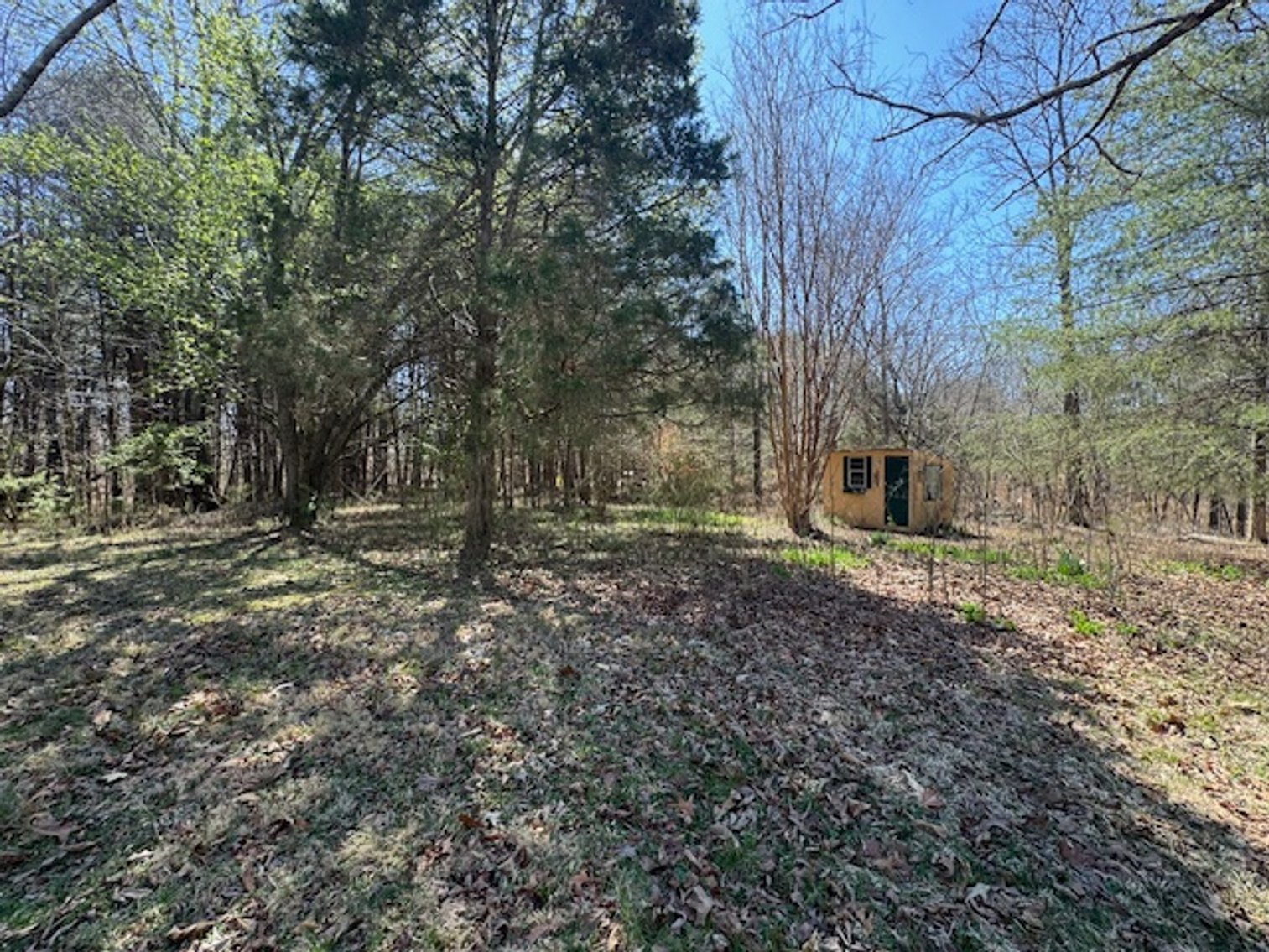 Image for 5.4 Acres off Hwy 7 - House & Shop on Buck Litton Road