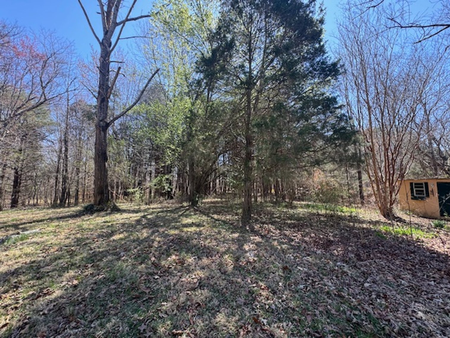 Image for 5.4 Acres off Hwy 7 - House & Shop on Buck Litton Road