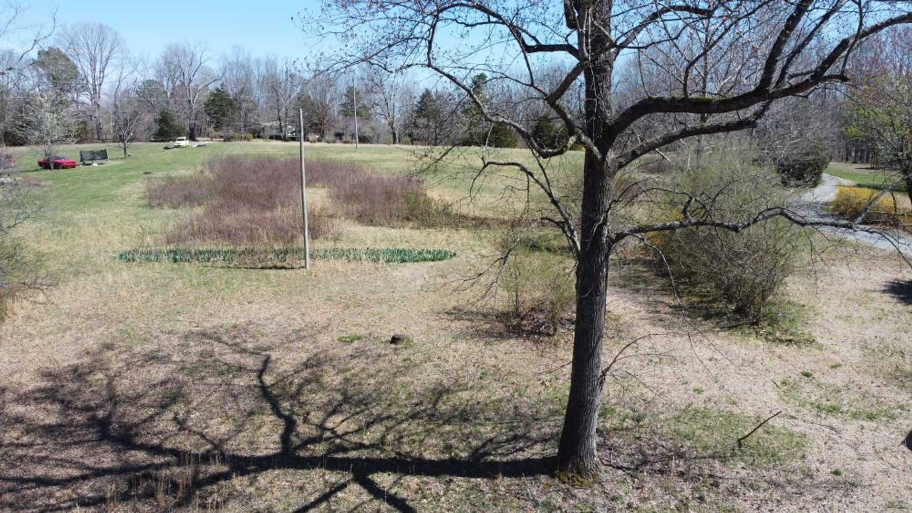 Image for 5.4 Acres off Hwy 7 - House & Shop on Buck Litton Road