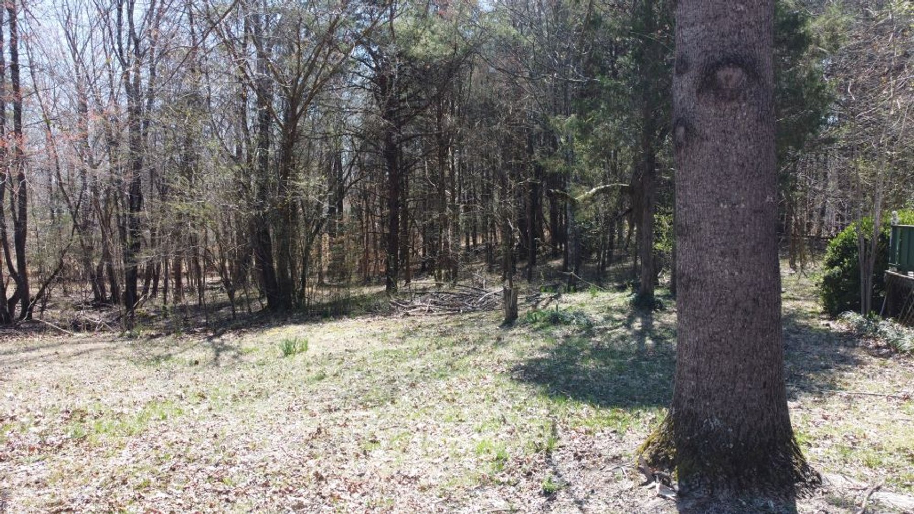 Image for 5.4 Acres off Hwy 7 - House & Shop on Buck Litton Road