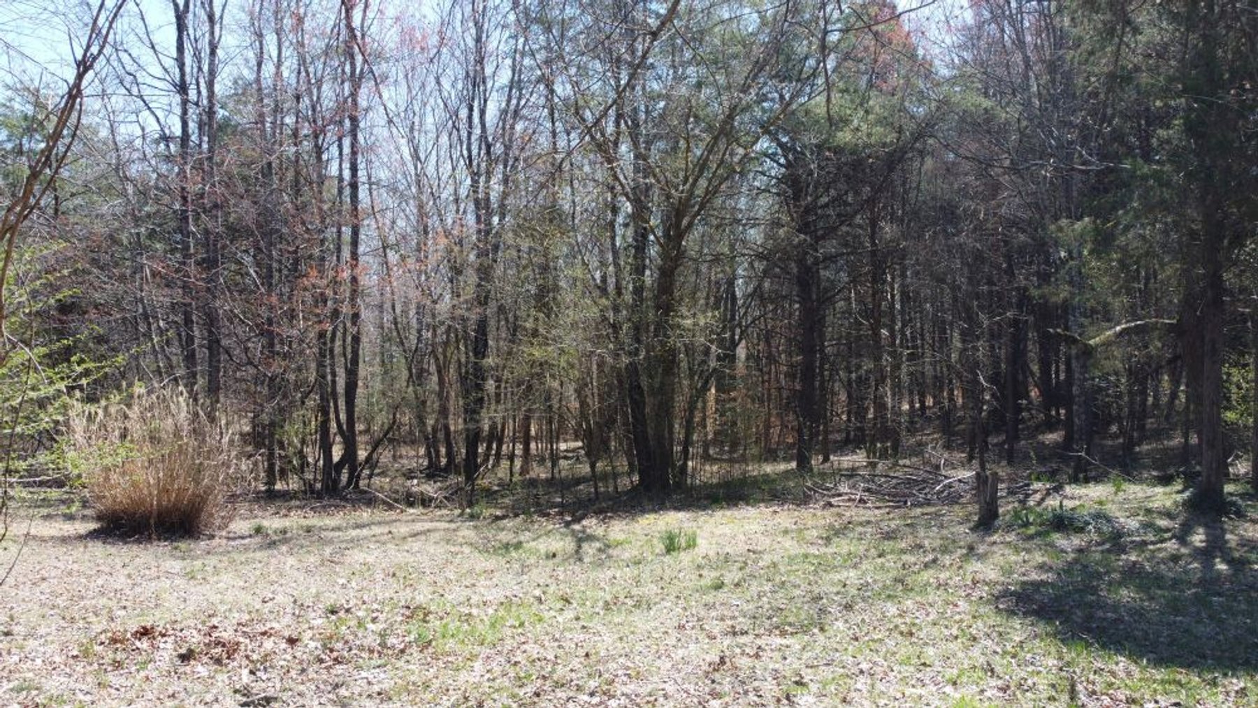 Image for 5.4 Acres off Hwy 7 - House & Shop on Buck Litton Road