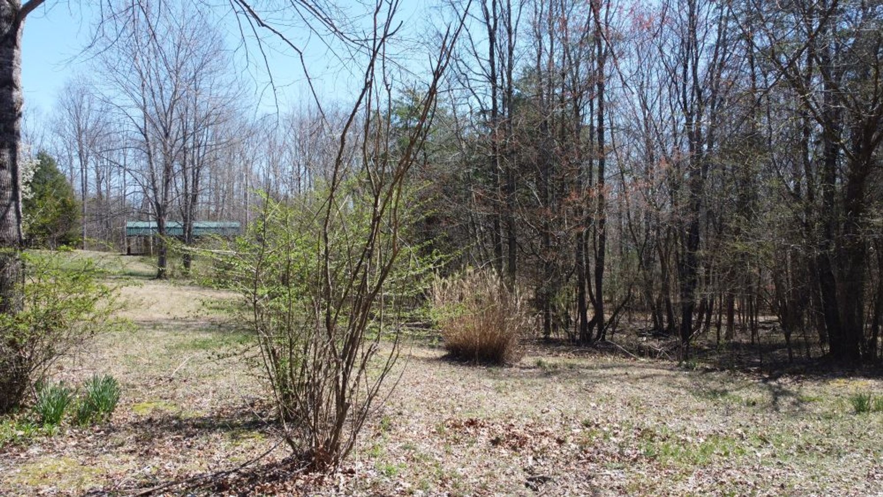 Image for 5.4 Acres off Hwy 7 - House & Shop on Buck Litton Road