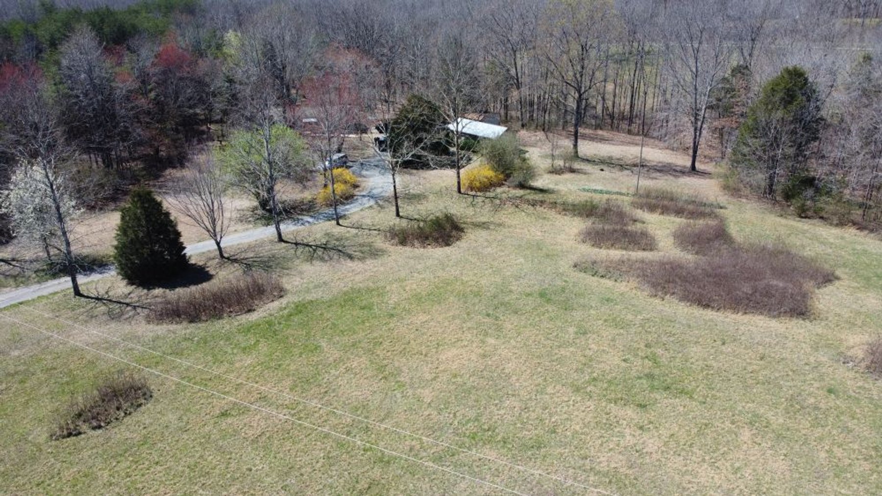 Image for 5.4 Acres off Hwy 7 - House & Shop on Buck Litton Road