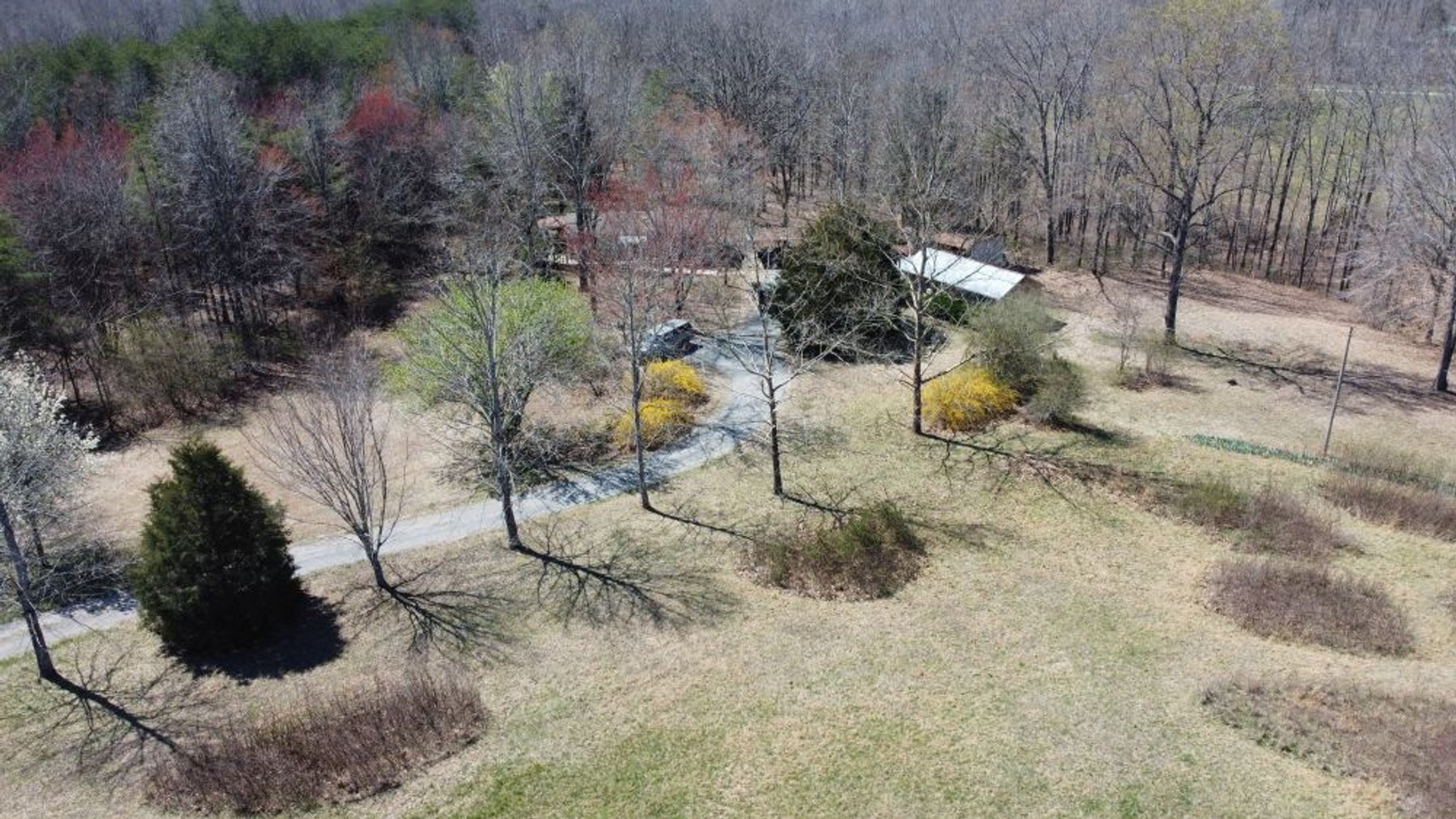 Image for 5.4 Acres off Hwy 7 - House & Shop on Buck Litton Road
