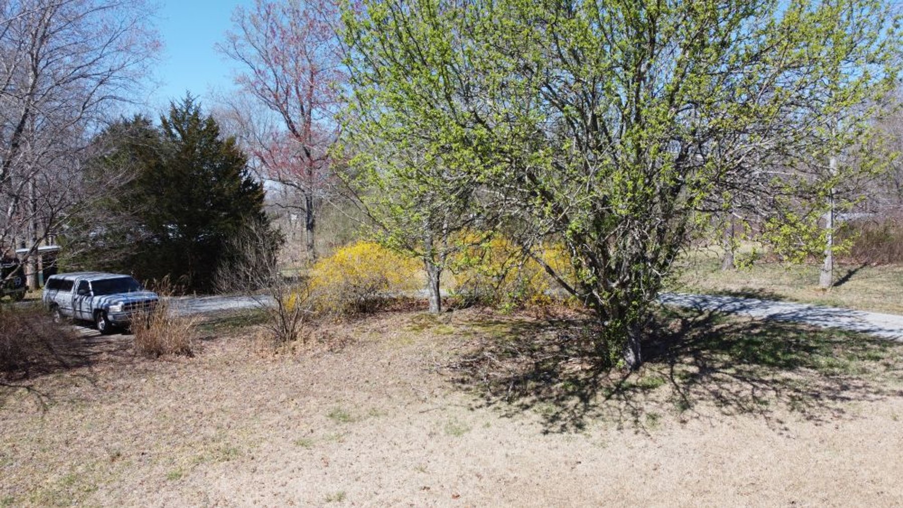 Image for 5.4 Acres off Hwy 7 - House & Shop on Buck Litton Road