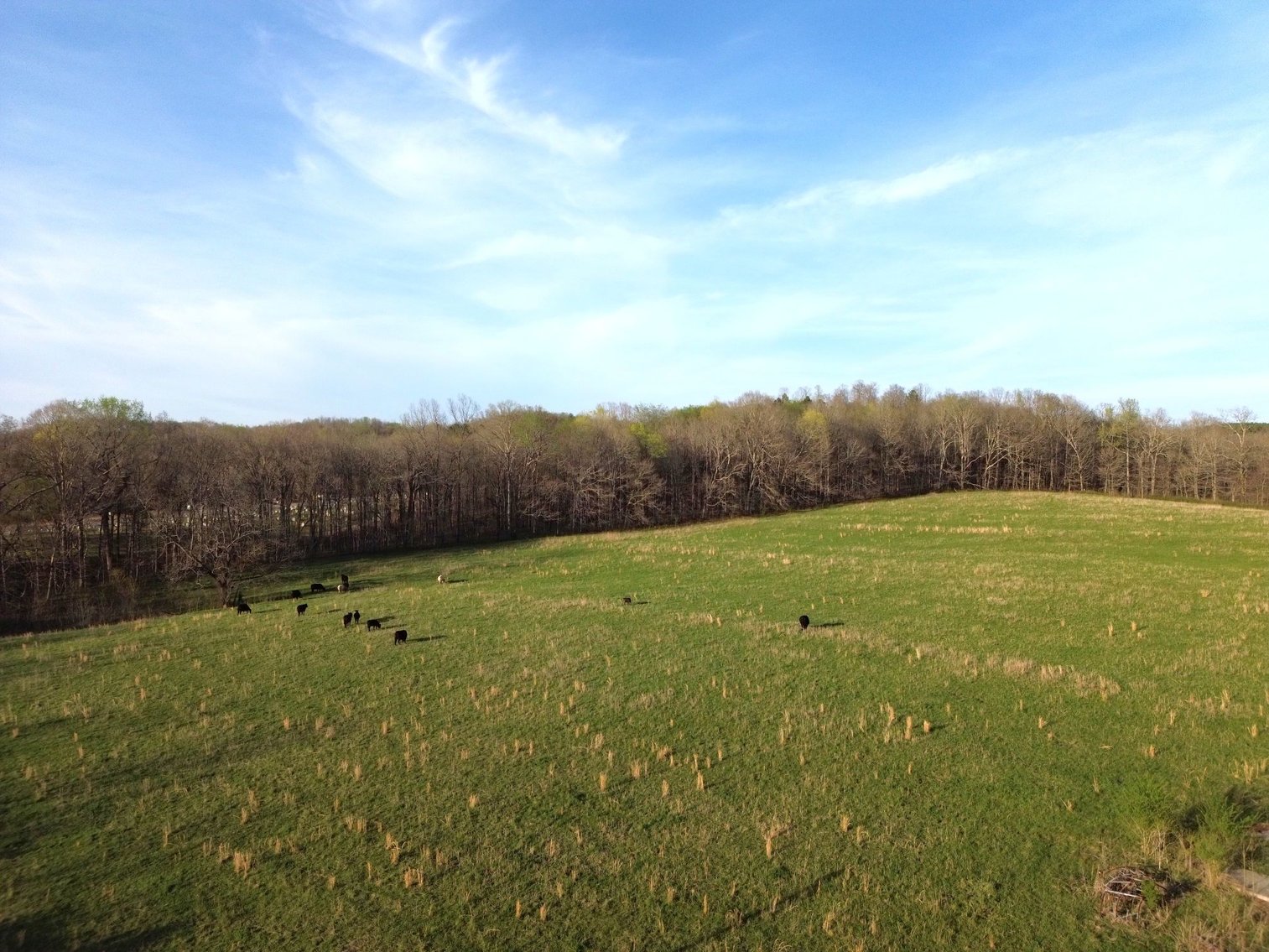Image for 44 acres - Farm on Beaverdam Creek on Hwy 48 S
