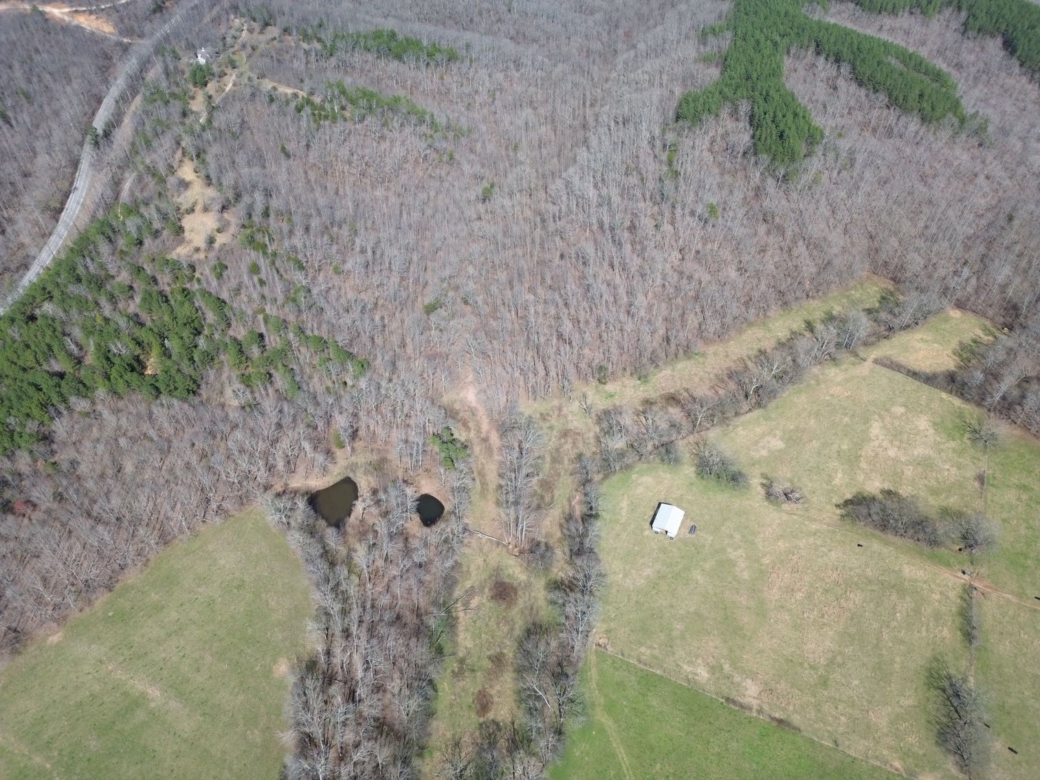 Image for 44 acres - Farm on Beaverdam Creek on Hwy 48 S