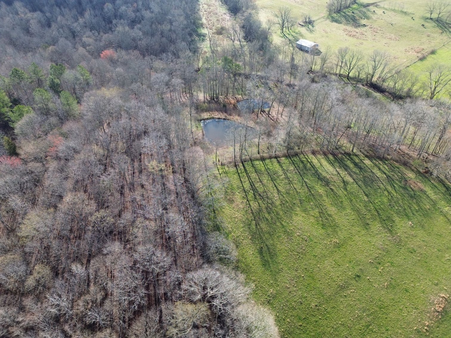 Image for 44 acres - Farm on Beaverdam Creek on Hwy 48 S