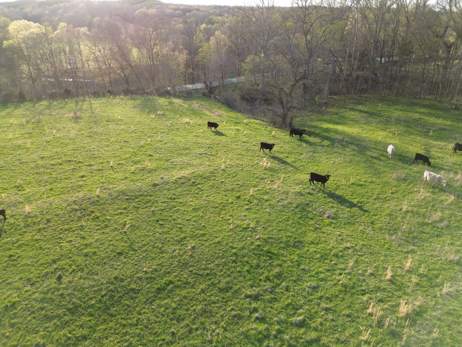 Image for 44 acres - Farm on Beaverdam Creek on Hwy 48 S