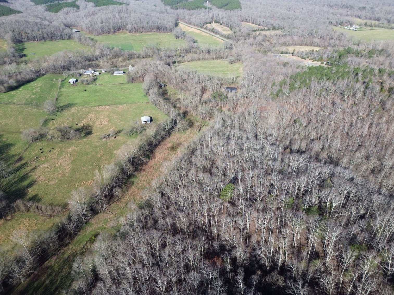Image for 44 acres - Farm on Beaverdam Creek on Hwy 48 S