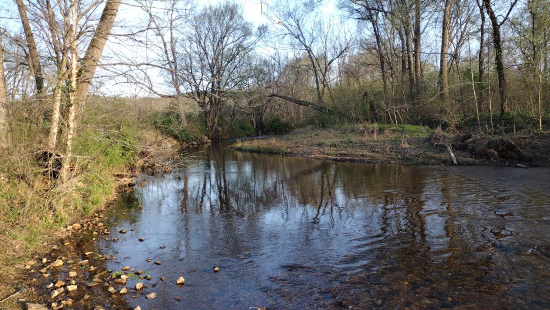 Image for 44 acres - Farm on Beaverdam Creek on Hwy 48 S