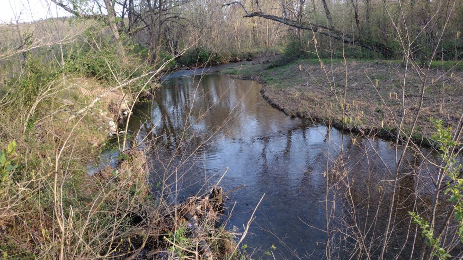 Image for 44 acres - Farm on Beaverdam Creek on Hwy 48 S