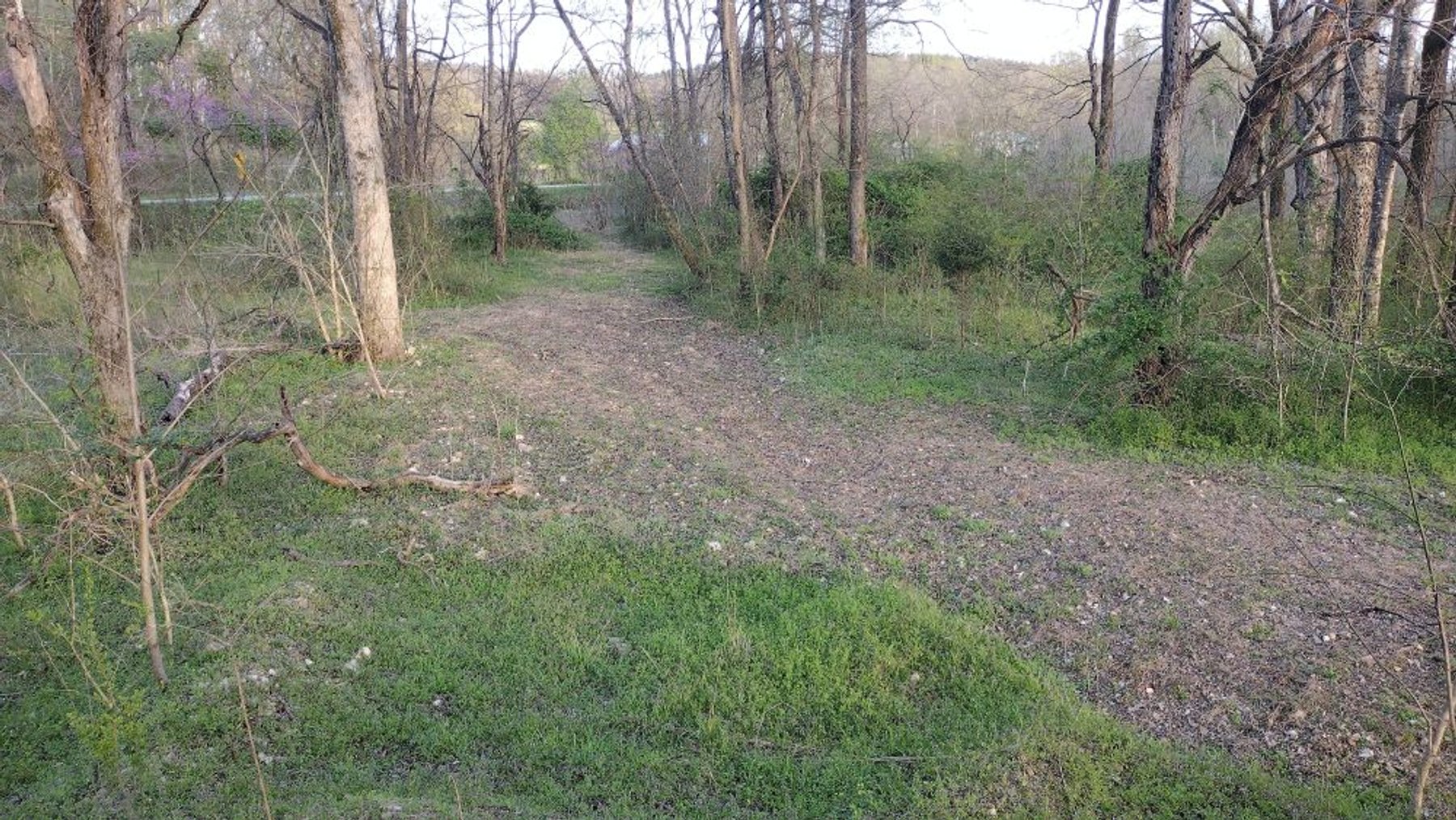 Image for 44 acres - Farm on Beaverdam Creek on Hwy 48 S