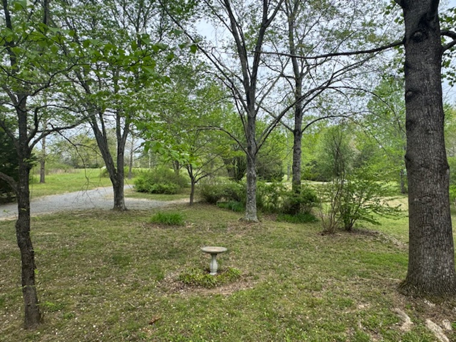 Image for 5.4 Acres off Hwy 7 - House & Shop on Buck Litton Road