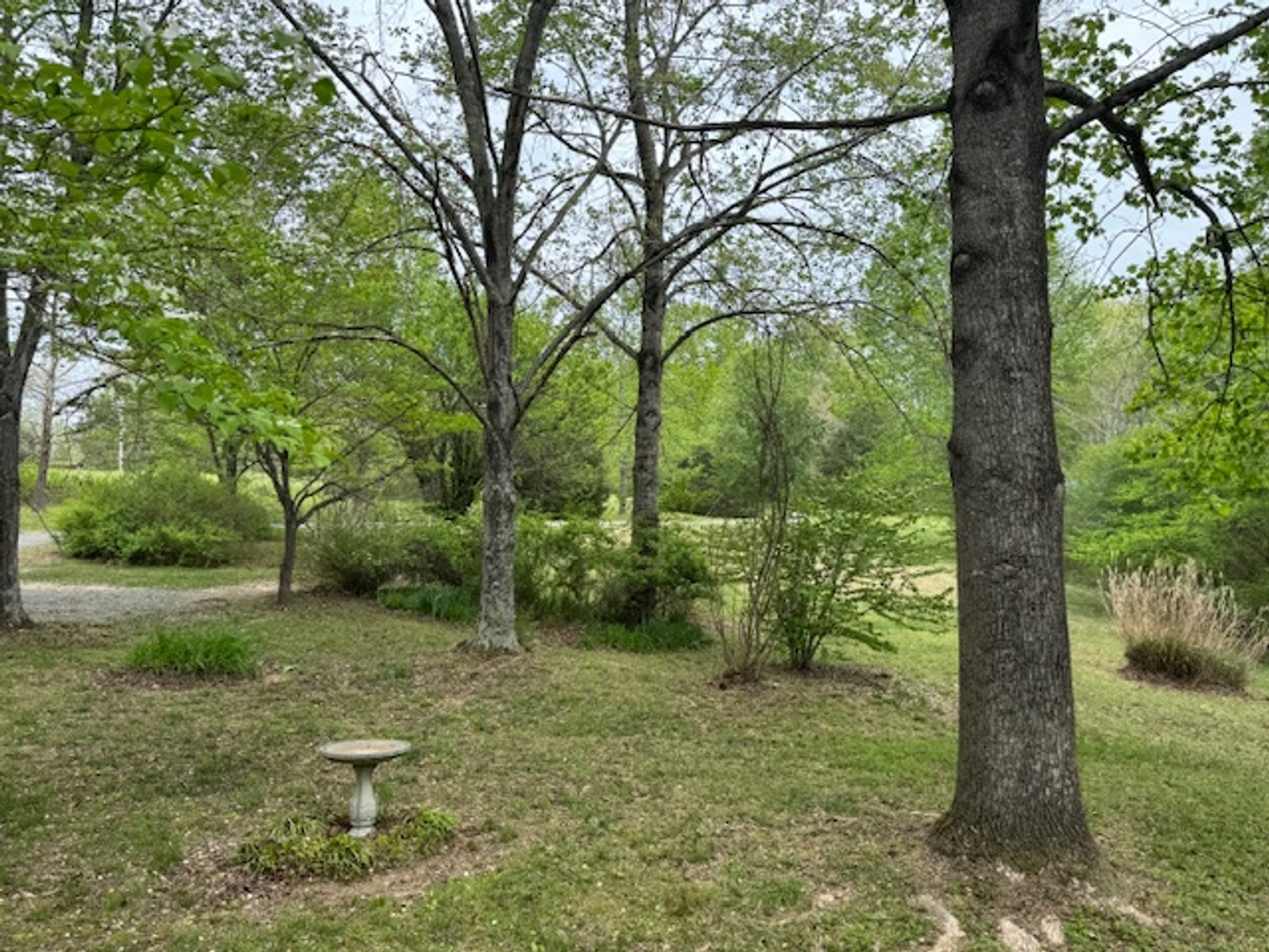 Image for 5.4 Acres off Hwy 7 - House & Shop on Buck Litton Road