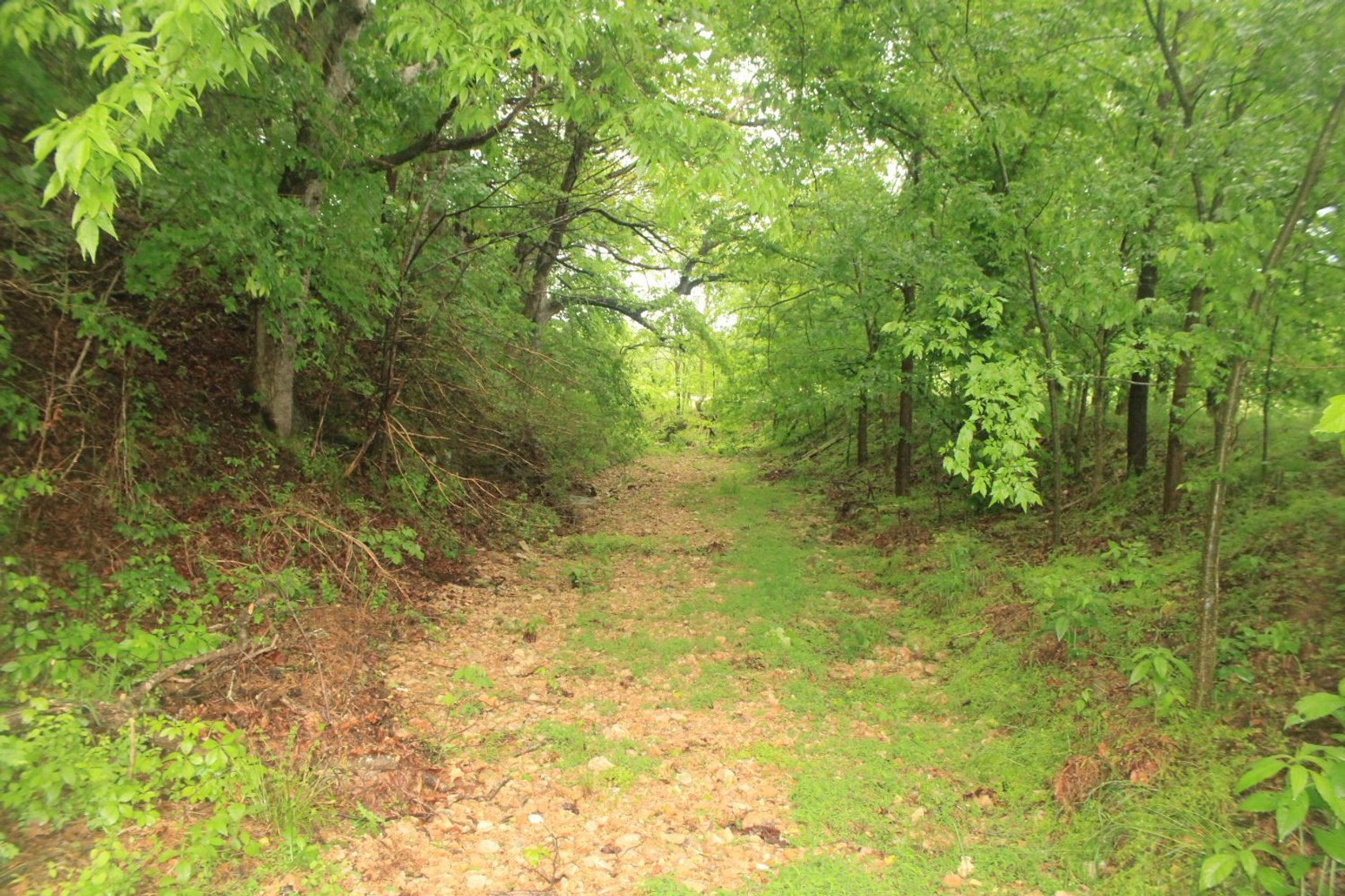 Image for 44 acres - Farm on Beaverdam Creek on Hwy 48 S