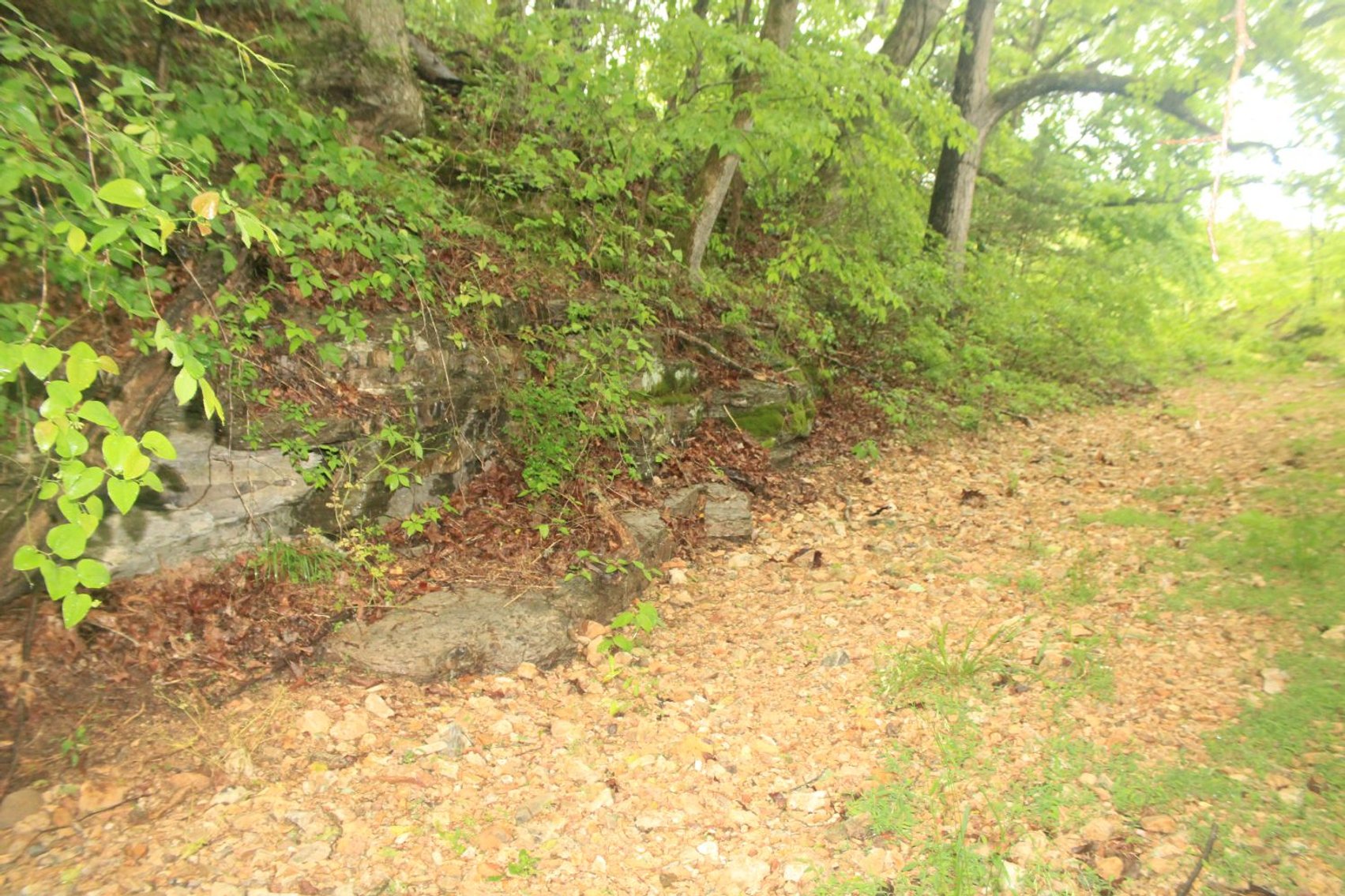 Image for 44 acres - Farm on Beaverdam Creek on Hwy 48 S