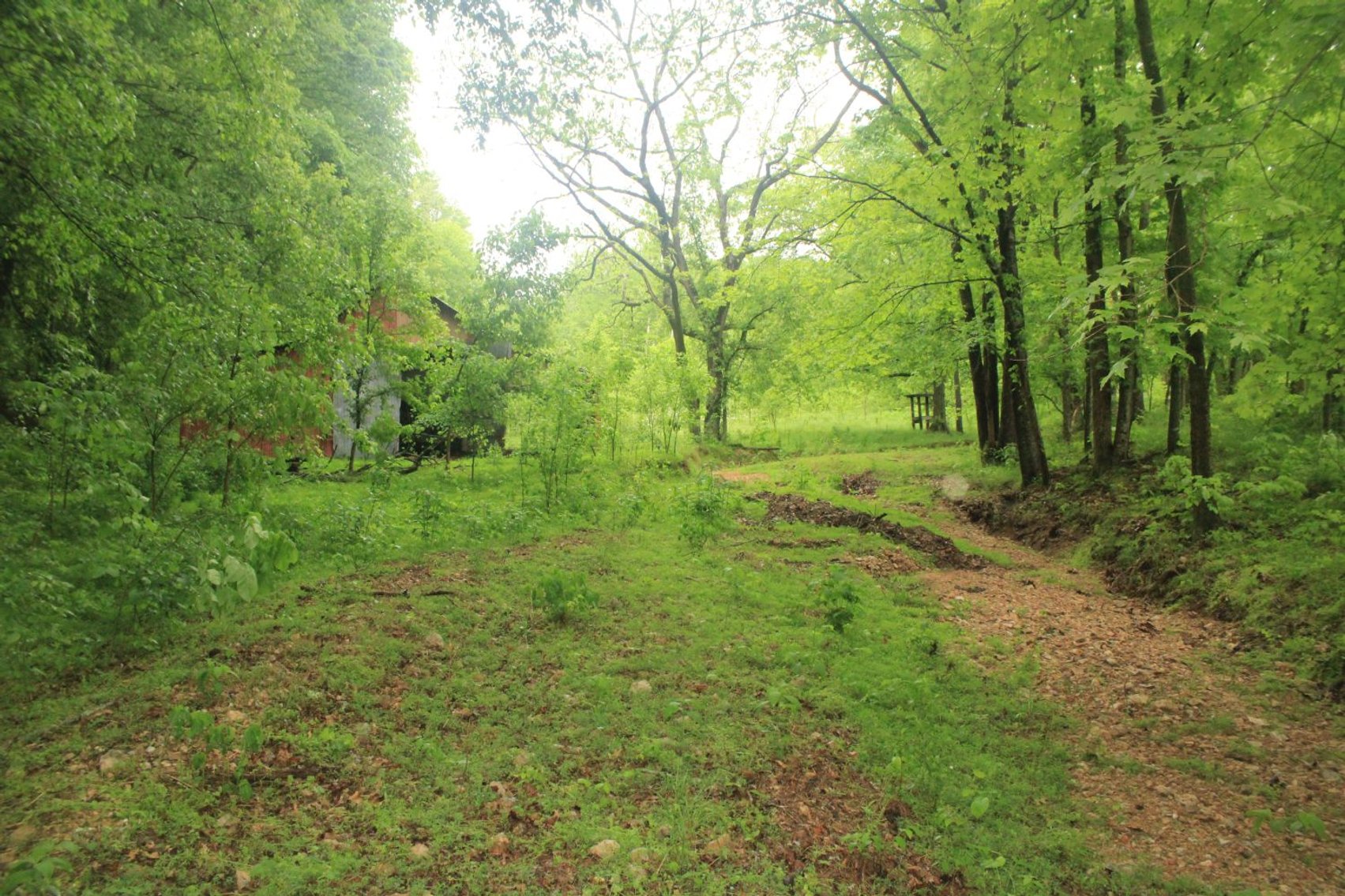 Image for 44 acres - Farm on Beaverdam Creek on Hwy 48 S