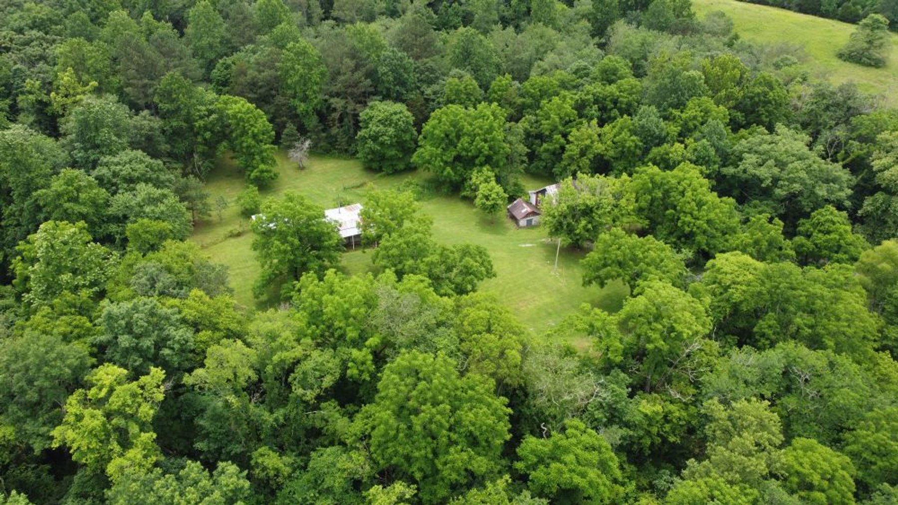 Image for Mill Creek -- Amazing Place, How Sweet the Sounds - 79 acres