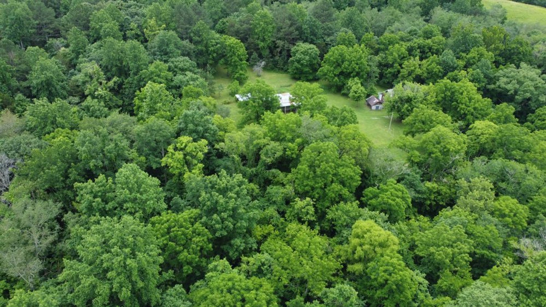 Image for Mill Creek -- Amazing Place, How Sweet the Sounds - 79 acres