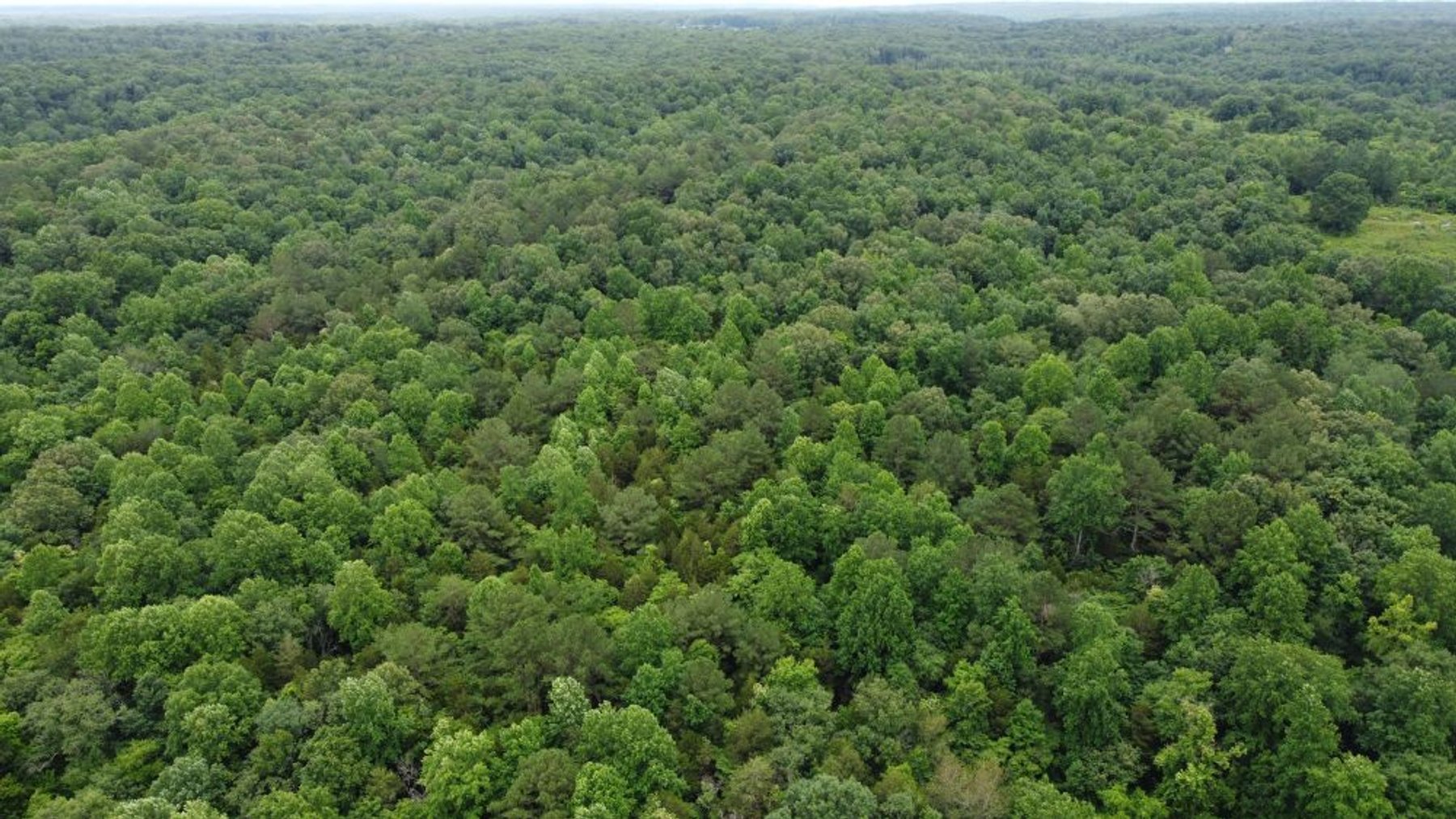 Image for Mill Creek -- Amazing Place, How Sweet the Sounds - 79 acres