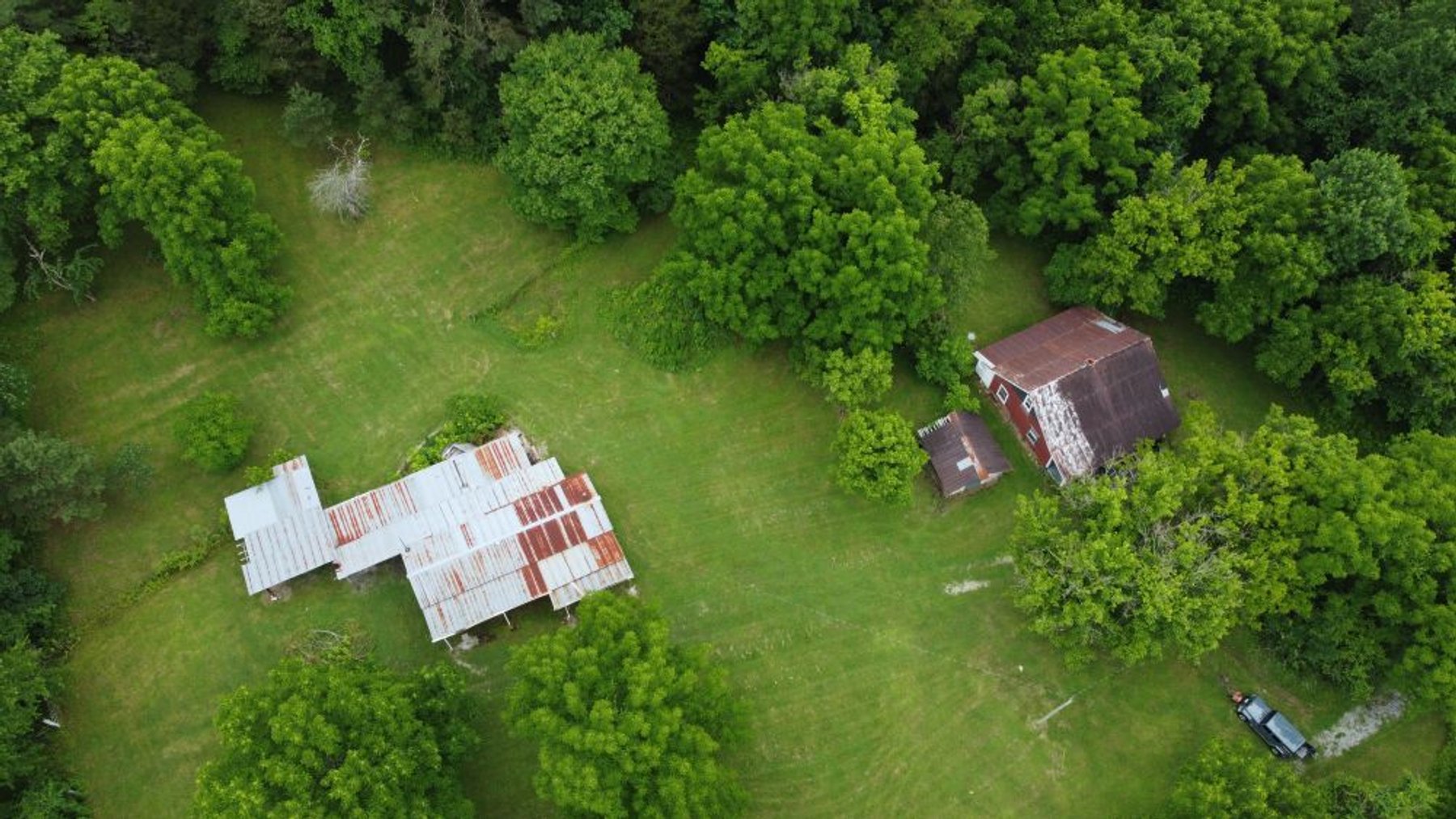 Image for Mill Creek -- Amazing Place, How Sweet the Sounds - 79 acres