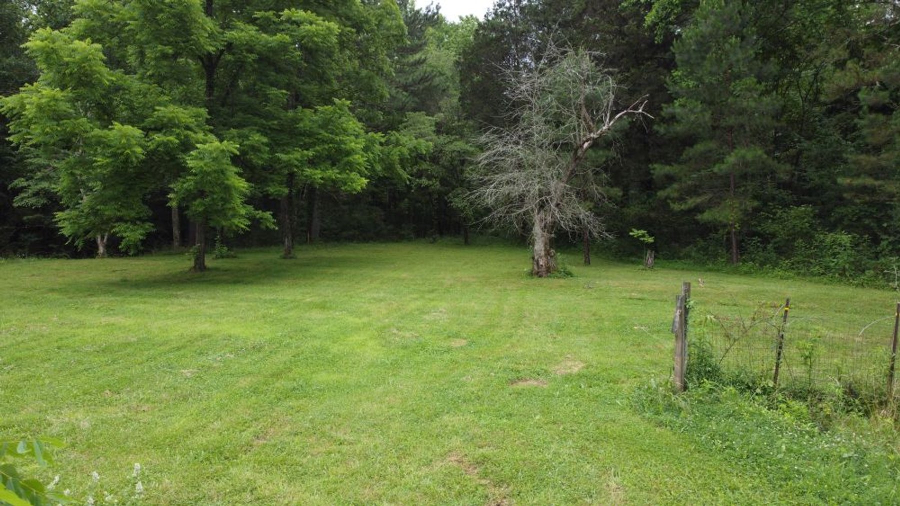 Image for Mill Creek -- Amazing Place, How Sweet the Sounds - 79 acres