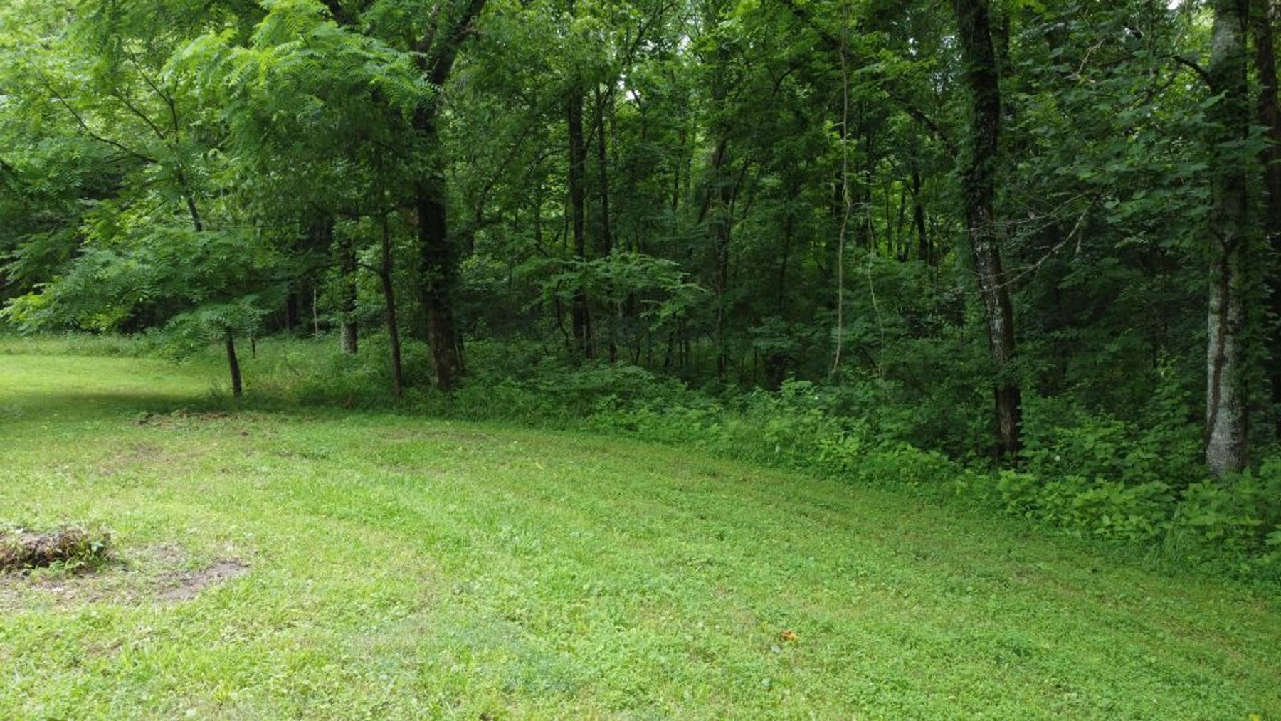 Image for Mill Creek -- Amazing Place, How Sweet the Sounds - 79 acres