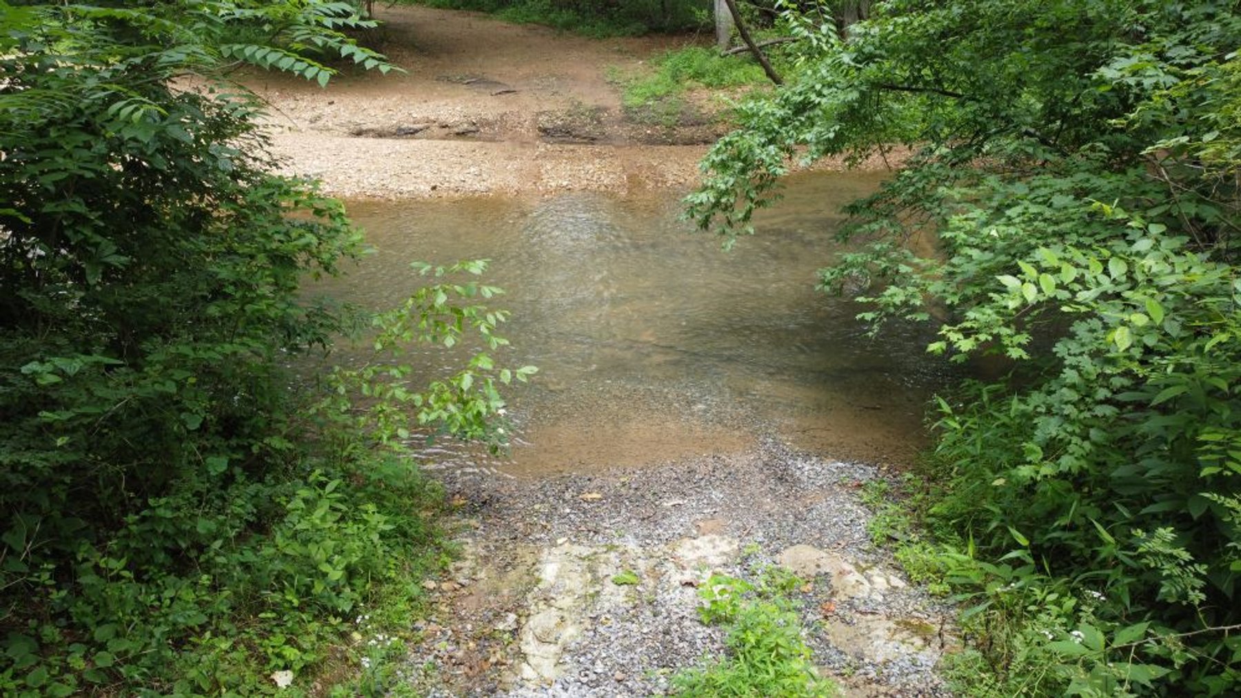 Image for Mill Creek -- Amazing Place, How Sweet the Sounds - 79 acres