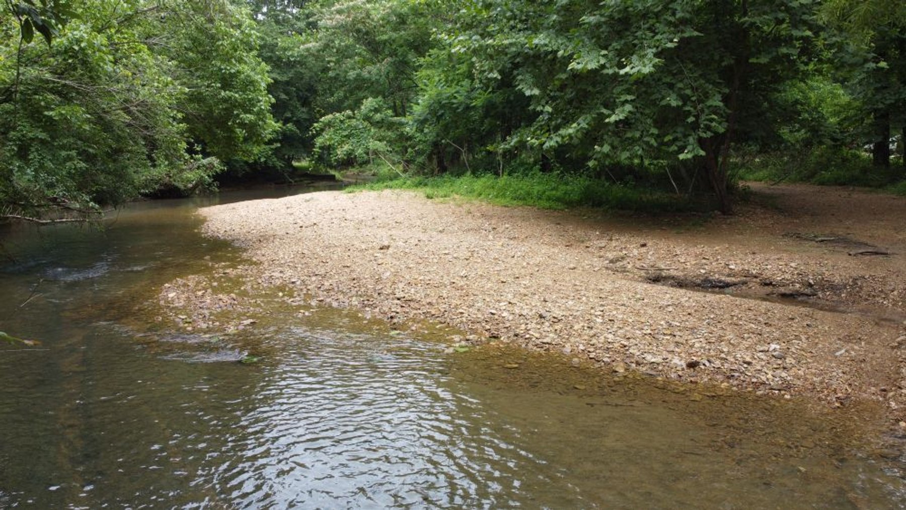 Image for Mill Creek -- Amazing Place, How Sweet the Sounds - 79 acres