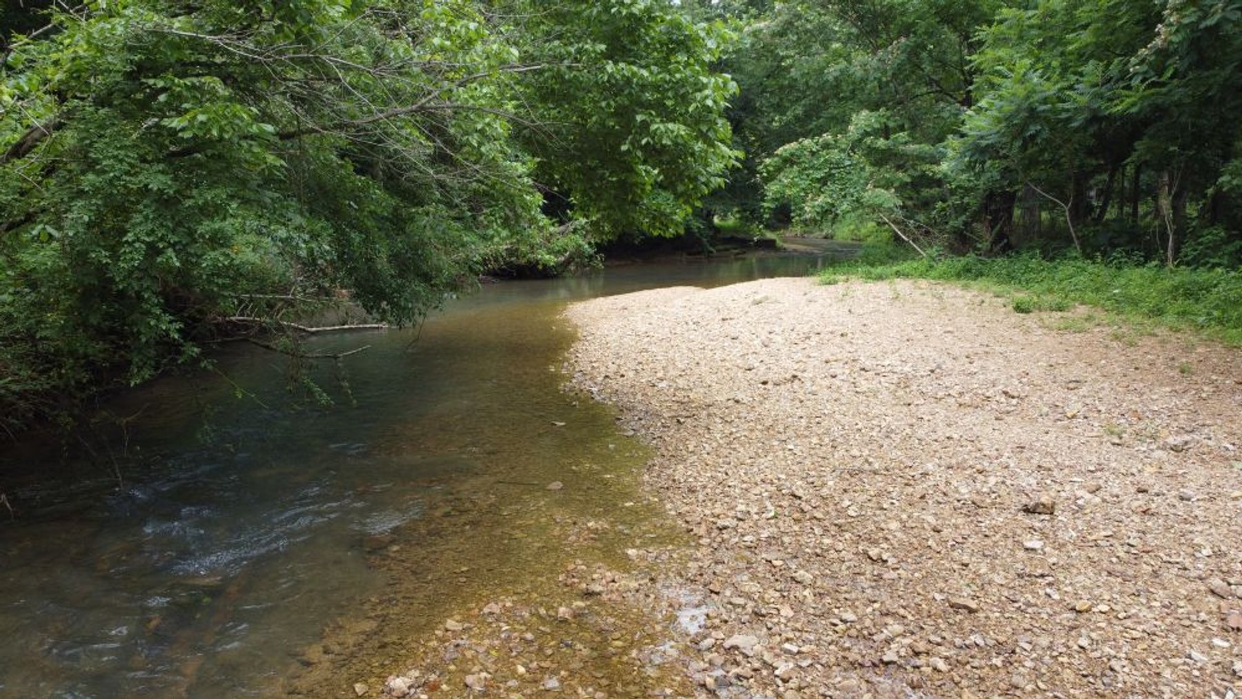 Image for Mill Creek -- Amazing Place, How Sweet the Sounds - 79 acres