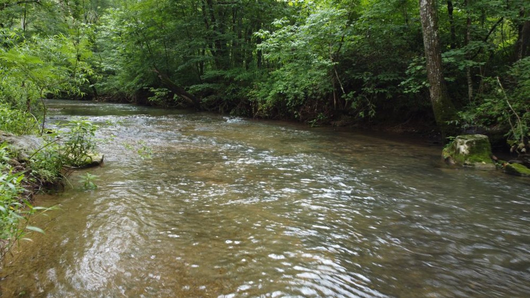 Image for Mill Creek -- Amazing Place, How Sweet the Sounds - 79 acres