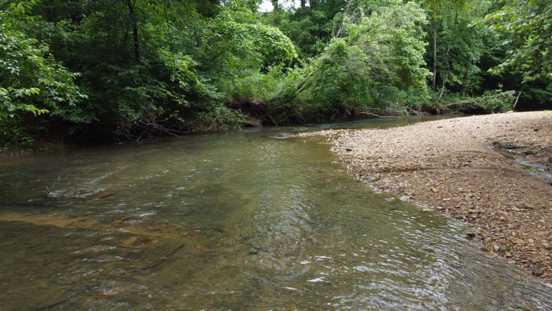 Image for Mill Creek -- Amazing Place, How Sweet the Sounds - 79 acres