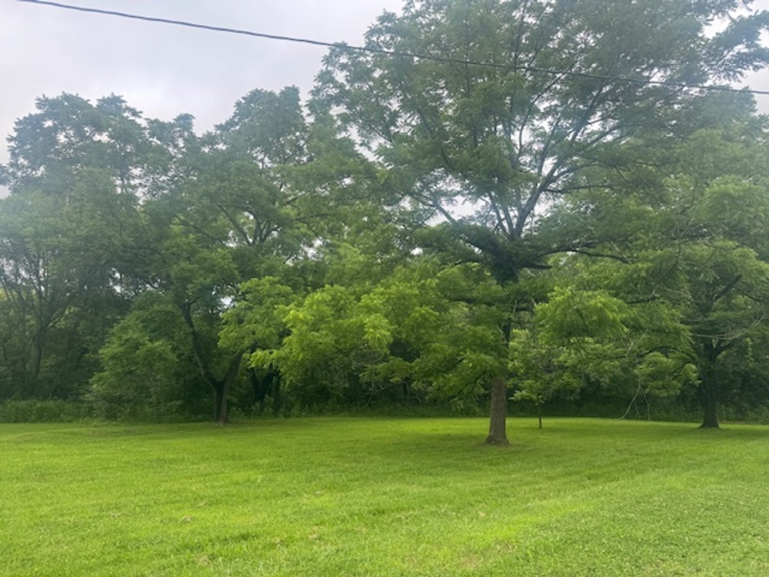 Image for Mill Creek -- Amazing Place, How Sweet the Sounds - 79 acres