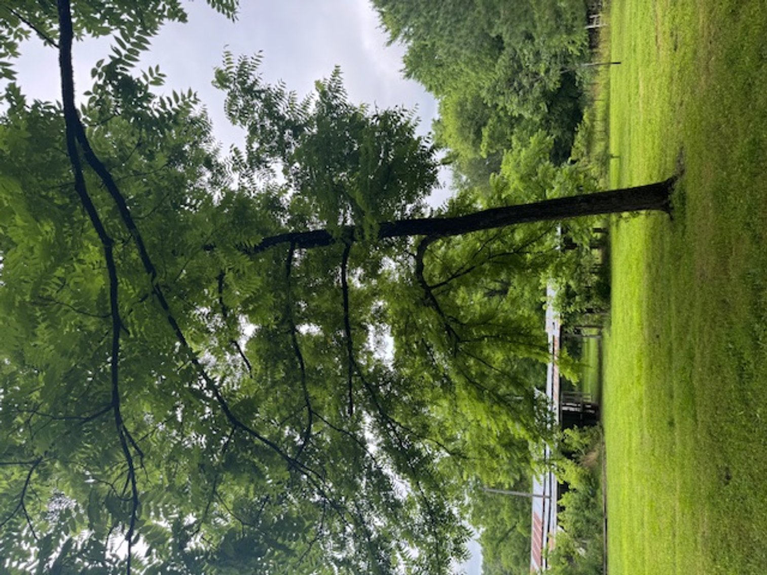 Image for Mill Creek -- Amazing Place, How Sweet the Sounds - 79 acres